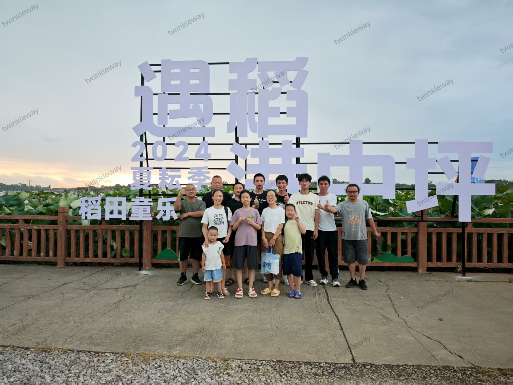 曲微科技夏日团建：遇“稻”港中坪，共赏荷间趣